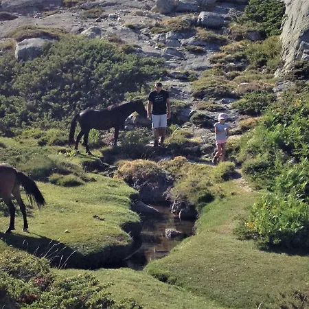 Ugliastru Porticcio *