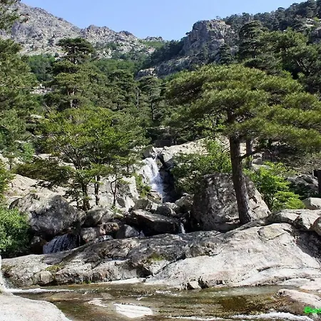 Apartment Ugliastru Porticcio Eccica-Suarella (Corsica)