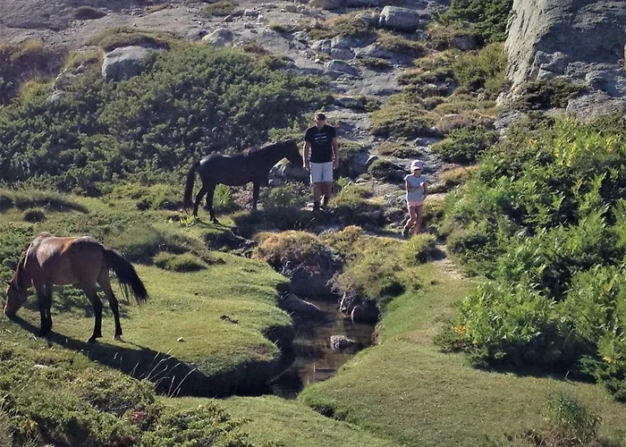 Ugliastru Porticcio *