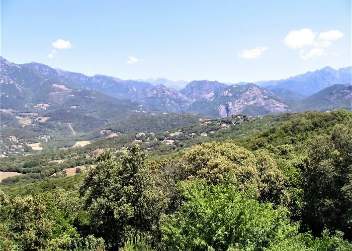 公寓 Ugliastru Porticcio