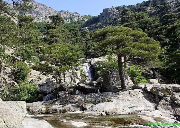 דירה Ugliastru Porticcio Eccica-Suarella (Corsica)