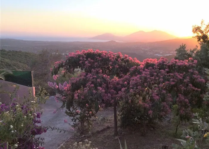 Ugliastru Porticcio * 埃希卡-苏埃雷拉